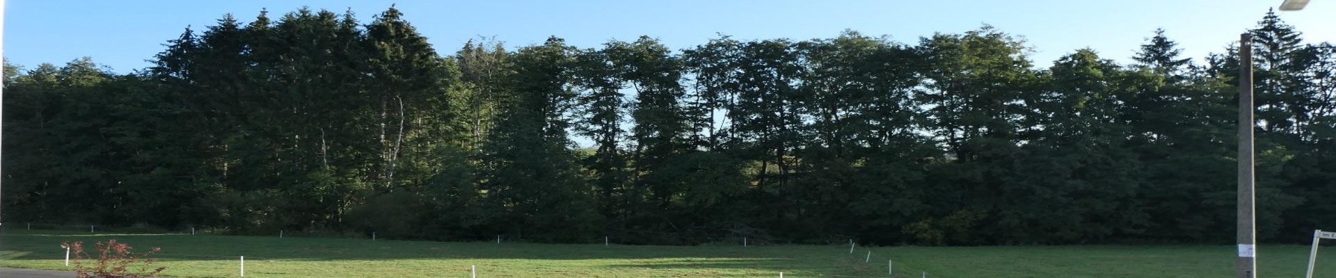 slideID = 1